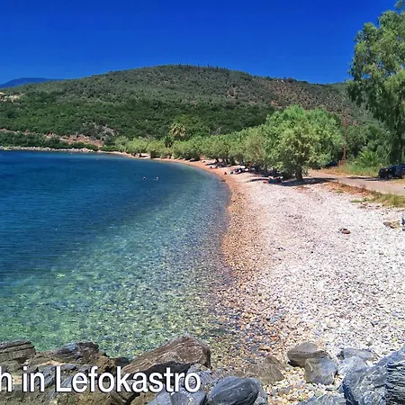 Katerina's Harmony *