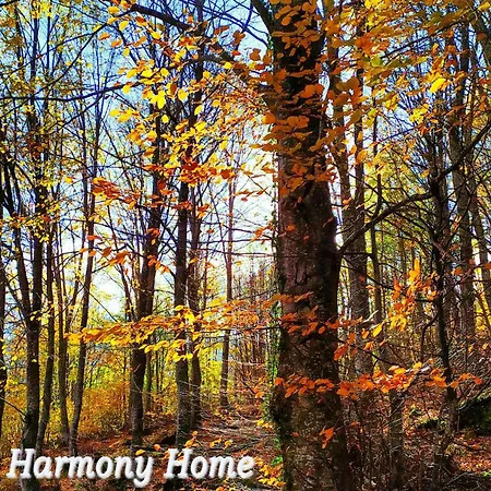 Apartman Katerina's Harmony *