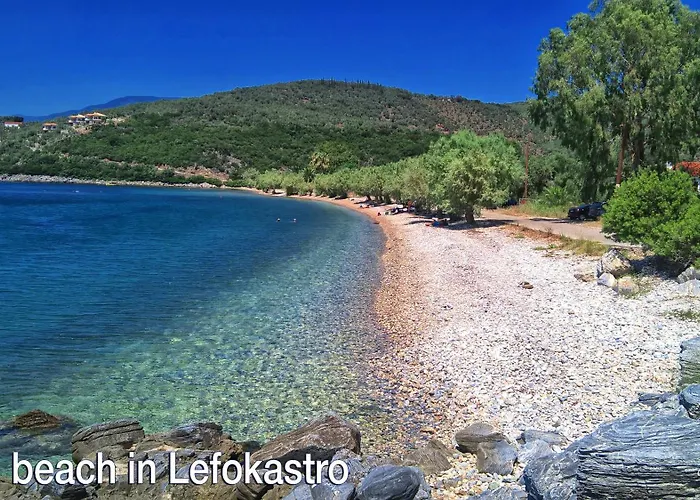 Katerina's Harmony *