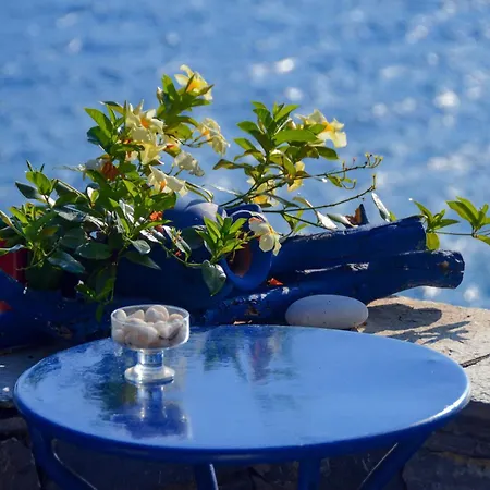 Katerina's Harmony アパート *