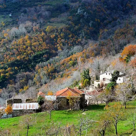 アパート Katerina's Harmony