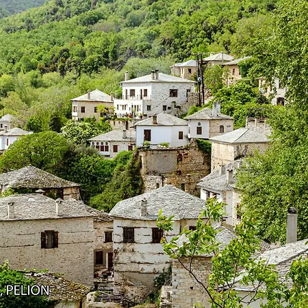 Katerina's Harmony アパート *