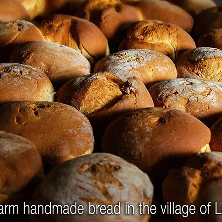 アパート Katerina's Harmony ヴォロス