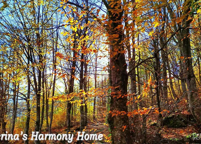 Apartment Katerina's Harmony *